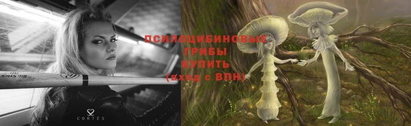 дурь Богородск