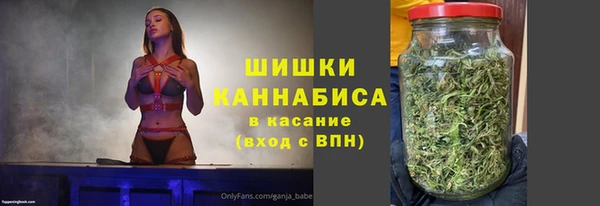 стафф Богородицк