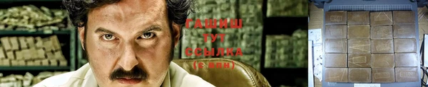 стафф Богородицк