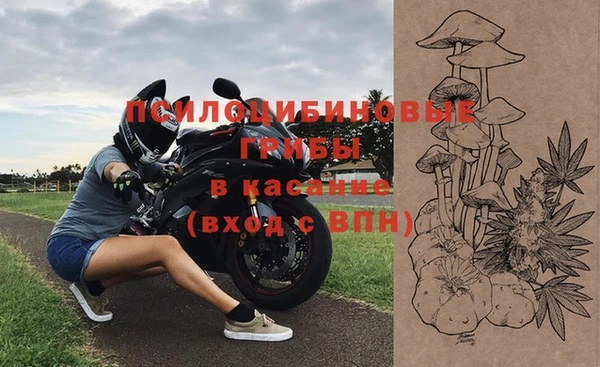 СК Богданович